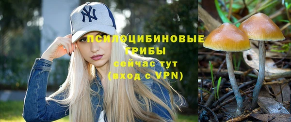 меф Белокуриха