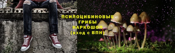мет Баксан