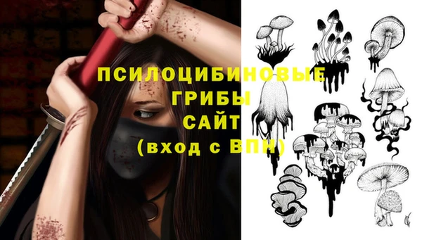 спайс Беломорск