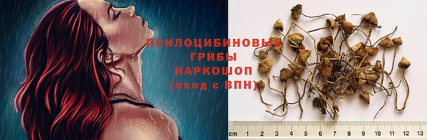 mdpv Нефтекумск