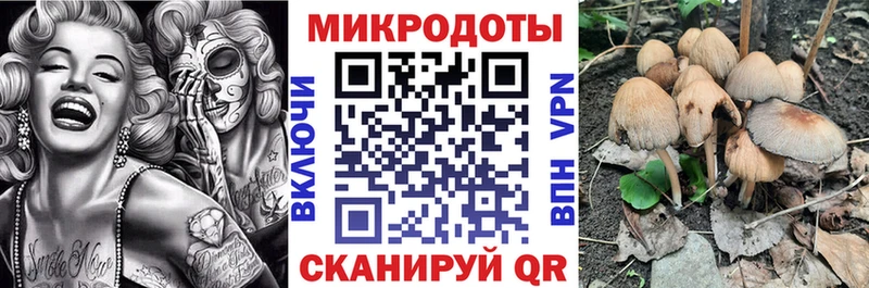 Псилоцибиновые грибы Cubensis  Ворсма 